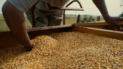 crop_protection