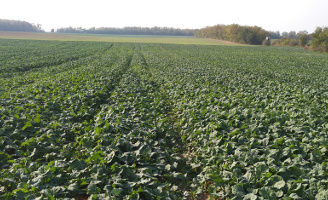 Related_Content_Card_desktop_328x200_Belkar