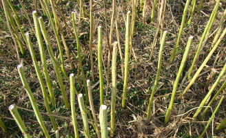 Related_Content_Card_desktop_328x200_Runway