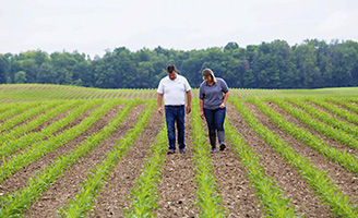 Representante de ventas