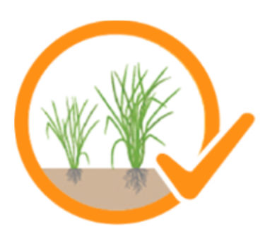 ริดอิด 4