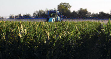 Runner Hero Image Mobile