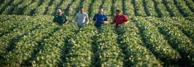 Puerto Rico Purpose Image