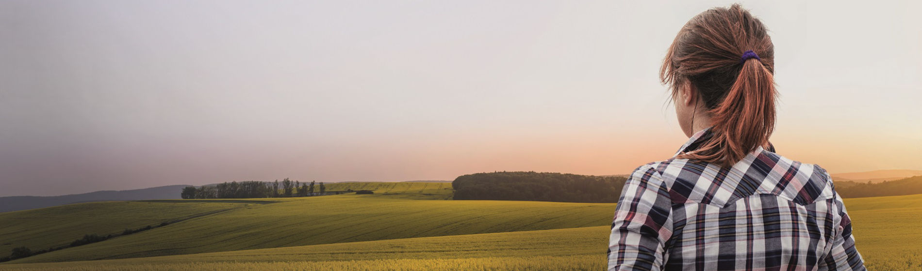 Sclerotinia HERO_Landscape_Slider