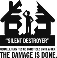 Silent_Destroyers