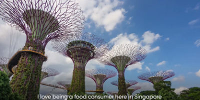 The Singapore Paradox