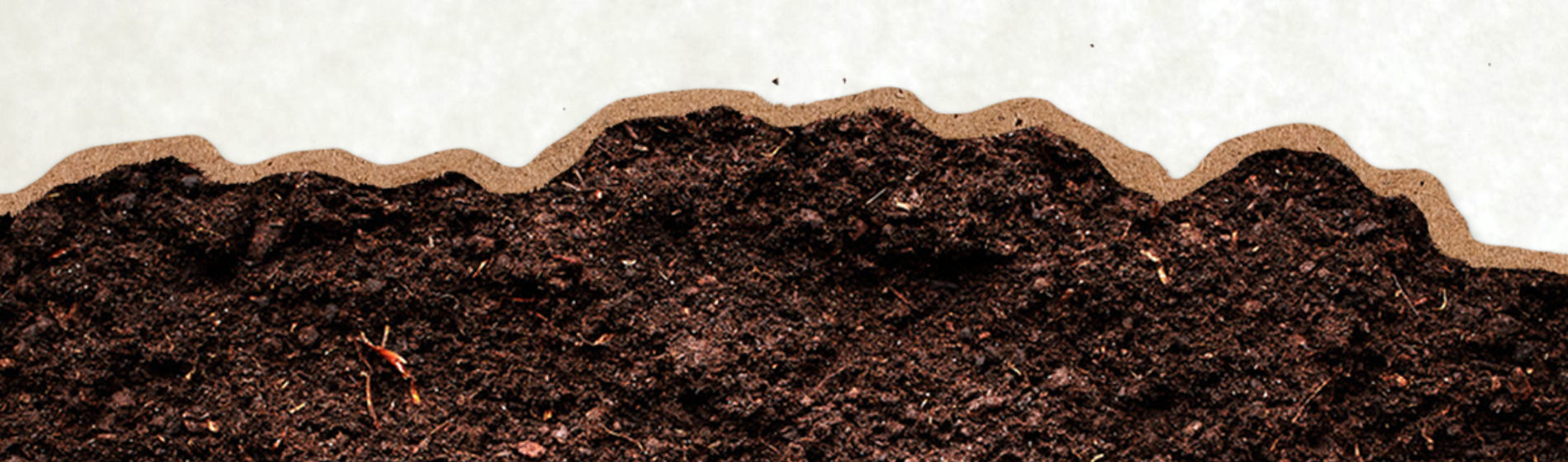 SoilHealthWebBanner