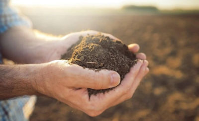 Man's hands holding soil