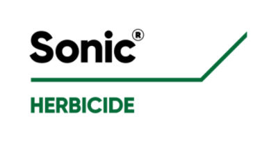 Sonic Boom logo