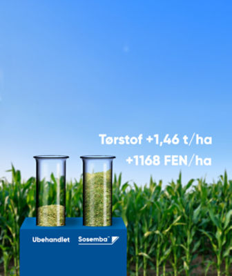 Sosemba™ 2 l/ha øgede udbyttet med 1,46 t/ha tørstof og 1168 FEN/ha (gennemsnit af 2 storskalaforsøg i Danmark 2024)