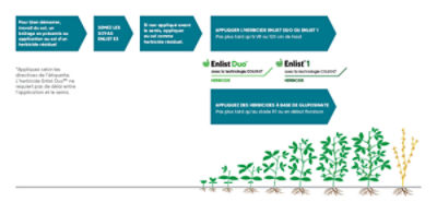 Enlist E3 Wide Application Window Infographic