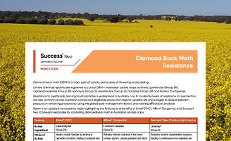 Success Neo - Diamond Back Moth Resistance