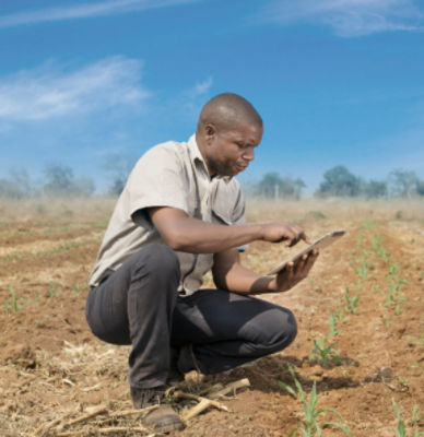 Successful Crop Management