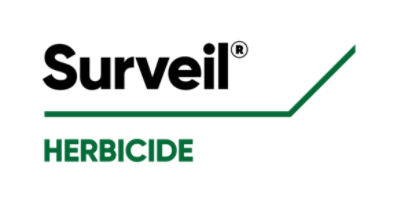 Surveil Logo