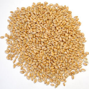 T2_Landing_Nitrogen_management_02_300x300