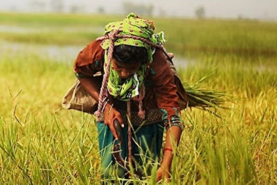 Trends in Agriculture