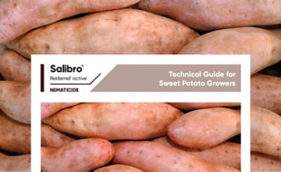 Salibro Reklemel Technical Guide for Sweet Potato Growers 