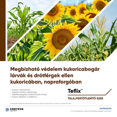 Teflixcoverdocucover