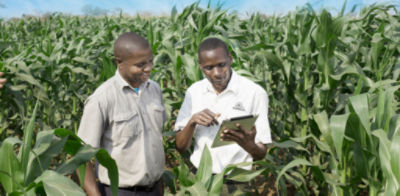 Pioneer Agronomy Team