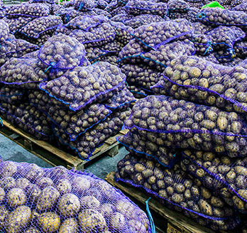 The Right Calories Potatoes