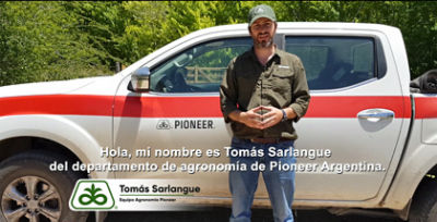Agornomo Pioneer Conteo hojas Maíz