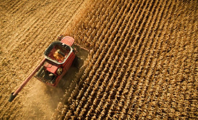 Registration in South Africa