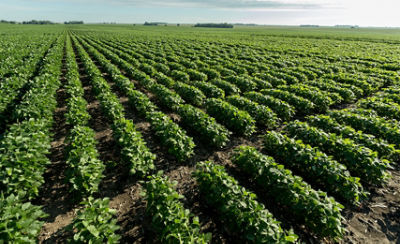 Second Research Facility