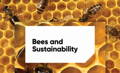 Transform Isoclast Bees and Sustainability