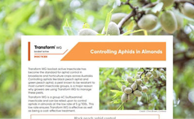 Transform WG - Controlling Aphids in Almonds