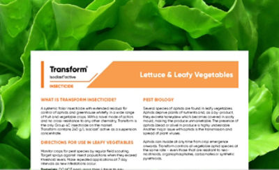 Transform - Lettuce & Leafy Veg