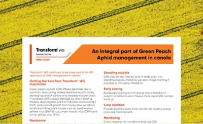 Transform WG - Green Peach Aphid in Canola