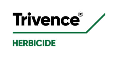 Trivence logo