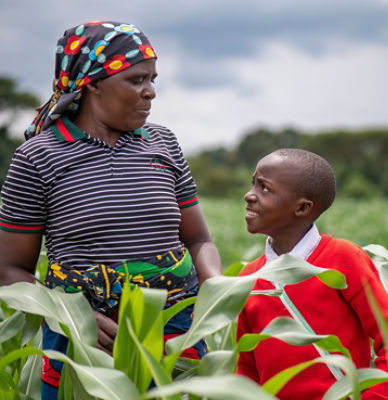 TurningOldPasturesNew_Brazil_TWOCOLUMNFEATURE