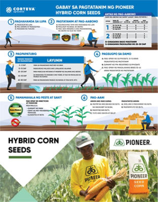 corn planting guide