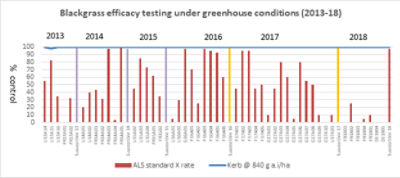 Blackgrass efficacy testing under greenhouse conditions 