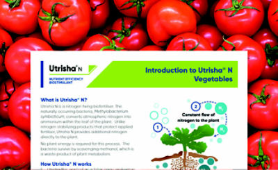 Utrisha N Vegetables Intro