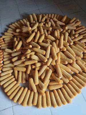 VN-Seeds