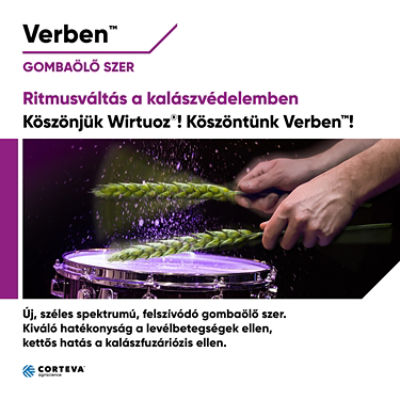 Verben30003000