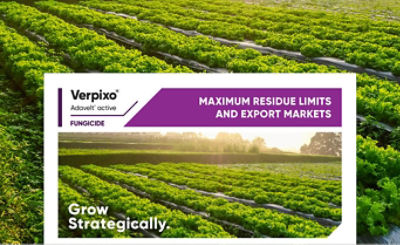 Verpixo MRL and Export DET 02 Product Technote 328w x 200h