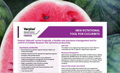 Verpixo New Rotational Tool for Cucurbits