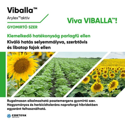 Viballabrossura30003000