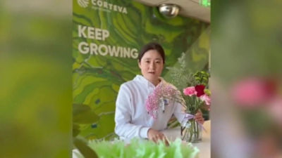 妇女节故事-张丽丽-CN-V1.mp4