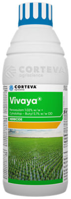 Vivaya_1000ml_Front