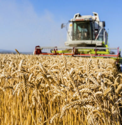 Wheat_Harvester
