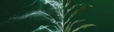 Who_We_Are_Banner_Desktop_new_photo