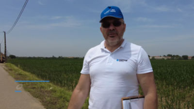 Lumiposa: Protect your crops from Wireworm damage