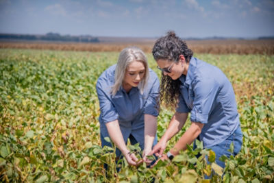 Home Page Image.jpeg