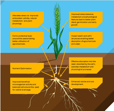 Ympact, Growth nutrient, MOA