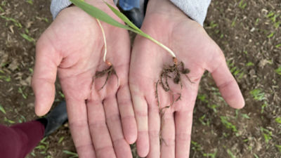 Ympact article pic.png