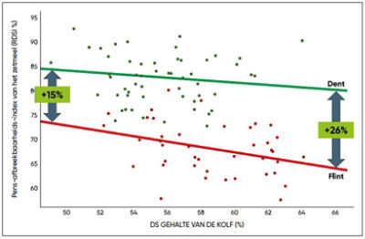Zetmeelbeschikbaarheid in functie van de afrijping van de kolf